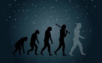 La nueva ciencia resuelve el problema del ruido con la hipótesis evolutiva