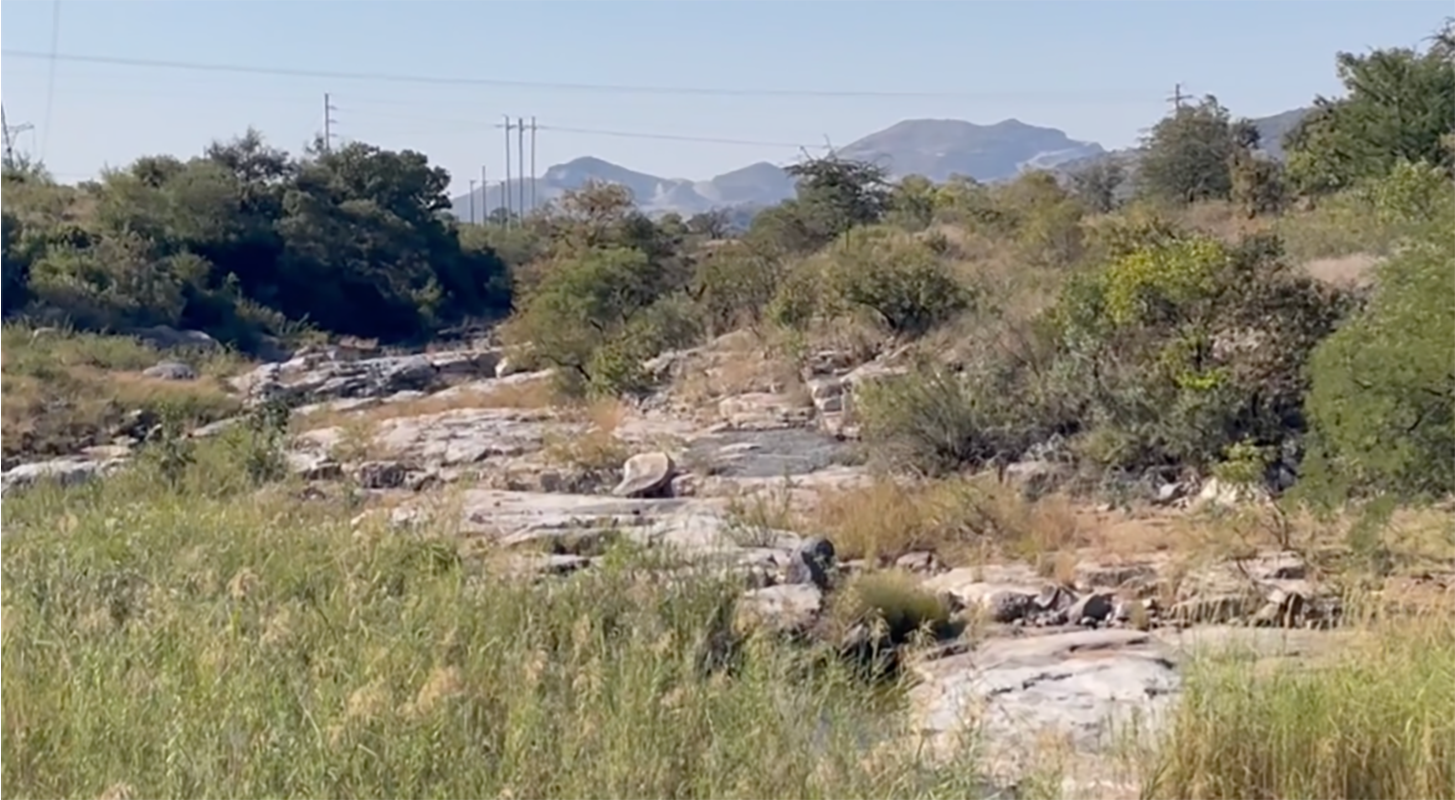 Una fotografía del paisaje sudafricano de la zona donde se tomó la muestra de roca. Seco y soleado, con algunas plantas arbustivas bajas.